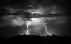 閃電劃過暴風雲，照亮黑暗的森林剪影。