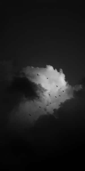 鳥在黑暗的天空中以編隊飛行穿過明亮的雲層。