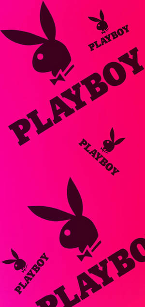 粉紅色背景，黑色Playboy兔仔標誌和文字對角線重複。