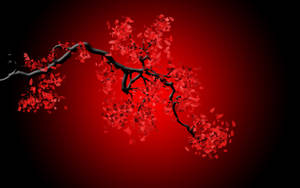 一條黑櫻桃枝條，帶有紅花，在紅色漸變背景上。 — 樹葉 壁紙