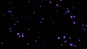 在黑暗夜空中閃爍的紫色星星