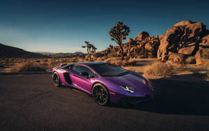 紫色林寶堅尼 Aventador 停在沙漠中，有約書亞樹和岩石山丘，夕陽西下。 — 蘭博基尼 壁紙