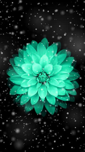 一朵發光的綠松色花朵，周圍漂浮著雪狀顆粒。