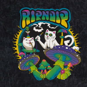 ripndip — 黑貓 壁紙