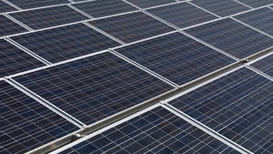 在明亮陽光下，一排排帶有銀色邊框的太陽能電池板。 — 黑白 壁紙