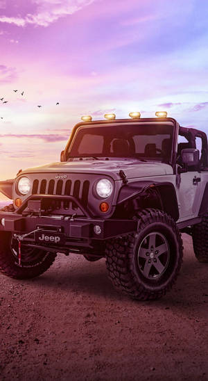 日落時一輛白色Jeep Wrangler停在泥土上，鳥兒在頭頂飛翔。