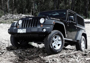 黑色Jeep Rubicon停放在有落枝和泥土的森林小徑上。