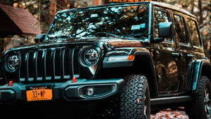 黑色Jeep Rubicon停泊在秋日森林中，掛有紐約車牌。