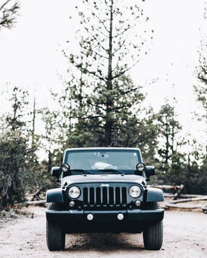 黑色Jeep Wrangler停在松樹林的泥路上。
