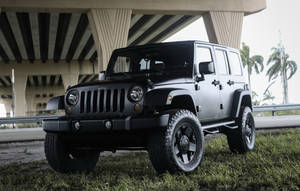 黑色Jeep Wrangler停在天橋下的草地上，有棕櫚樹