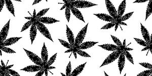 重複的黑色楓葉剪影，帶白色葉脈，在白色背景上。