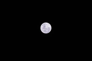 滿月位於黑暗夜空中央 — 月亮 壁紙