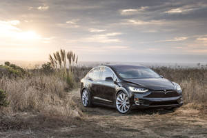 黑色Tesla Model X停泊在山坡上，俯瞰日落時分的海洋。 — Tesla GIF 壁紙