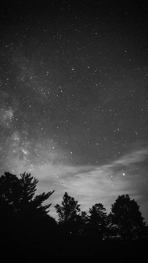 剪影樹木在繁星點點的夜空下，銀河清晰可見。