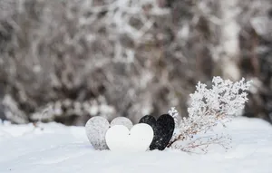 三塊心形石頭在雪地上,旁邊是結霜的樹枝