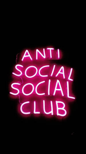 粉紅色霓虹燈牌，上面寫著 anti social social club，背景為黑色