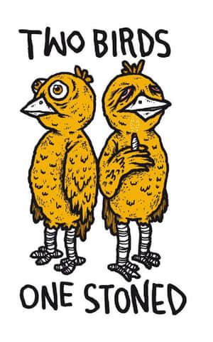 兩隻插圖鳥，一隻拿著大麻煙，文字說兩隻鳥一隻嗨